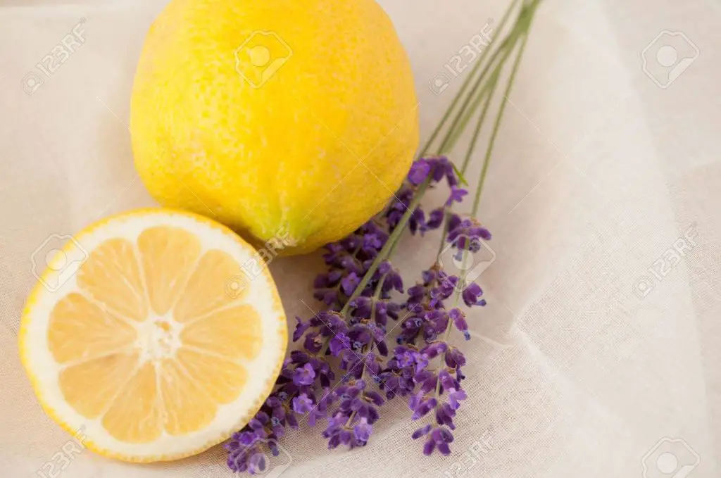 lavanda-limon-beneficios-salud-ignis-natura