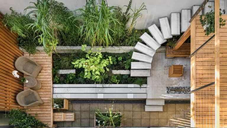 Ideas para crear un jardín interior en tu hogar: plantas que purifican el aire