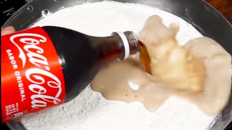 Cómo destapar el inodoro con Bicarbonato y Coca Cola