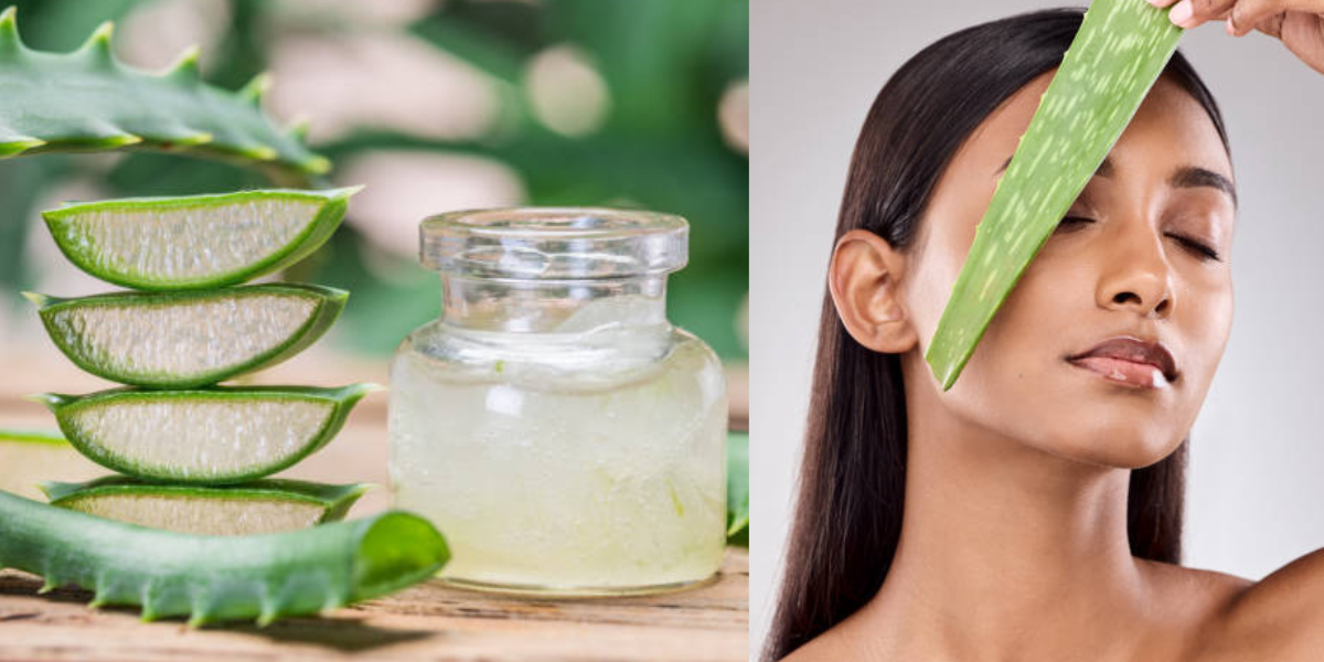 aloe-vera-beneficios-cara-ignis-natura