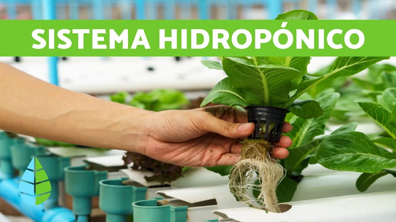 sistema-hidroponico-ignis-natura